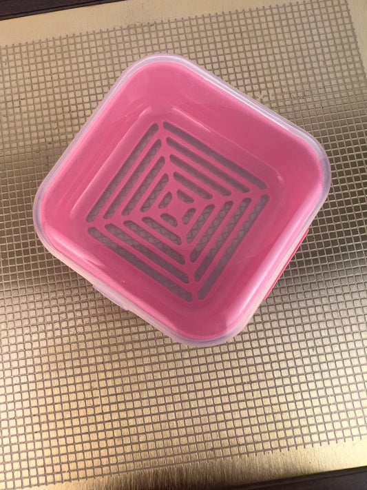 Shampoo/Conditioner Bar Case