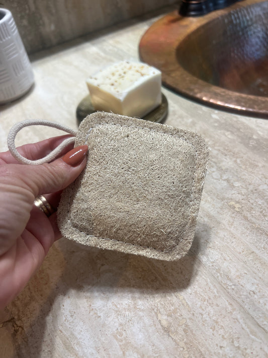 Heavy duty, natural dish scrubber