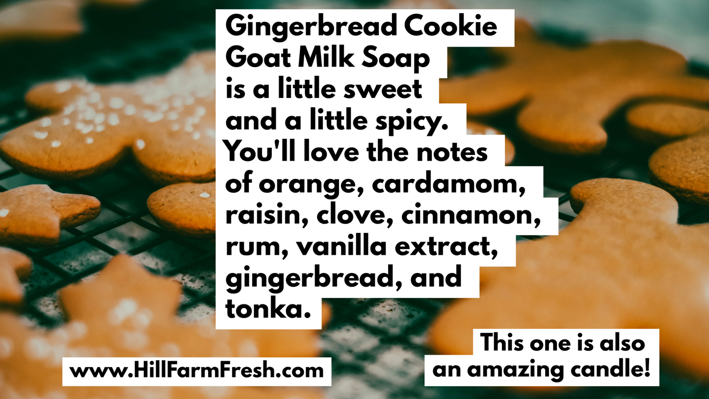 Gingerbread Cookie Goat Milk Soap